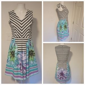 Shelby & Palmer 4P floral striped peplum mini dress